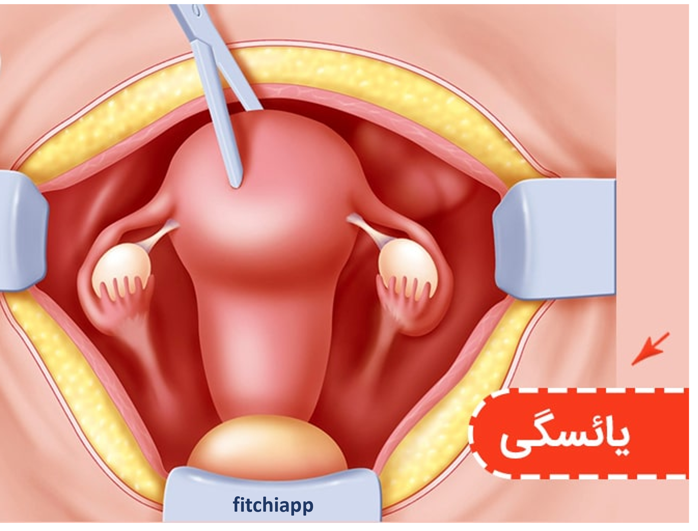 یائسگی: علائم، چالشها و راههای گذر از این دوران